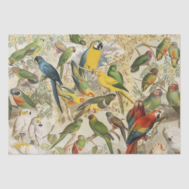 Elegant Vintage Tropical Birds Parrots Decoupage Tissue Paper (Front)