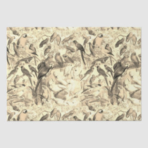 Elegant Vintage Tropical Birds Parrots Decoupage Tissue Paper