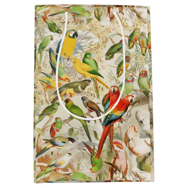 Elegant Vintage Tropical Birds Parrots Medium Gift Bag (Front)