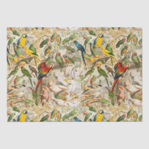 Elegant Vintage Tropical Birds Parrots Tissue Paper