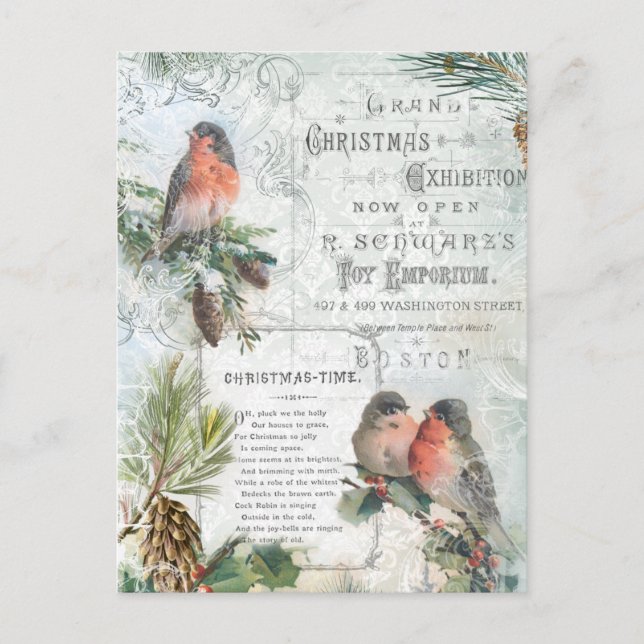 Elegant Vintage Winter Christmas Robins Holiday Postcard (Front)
