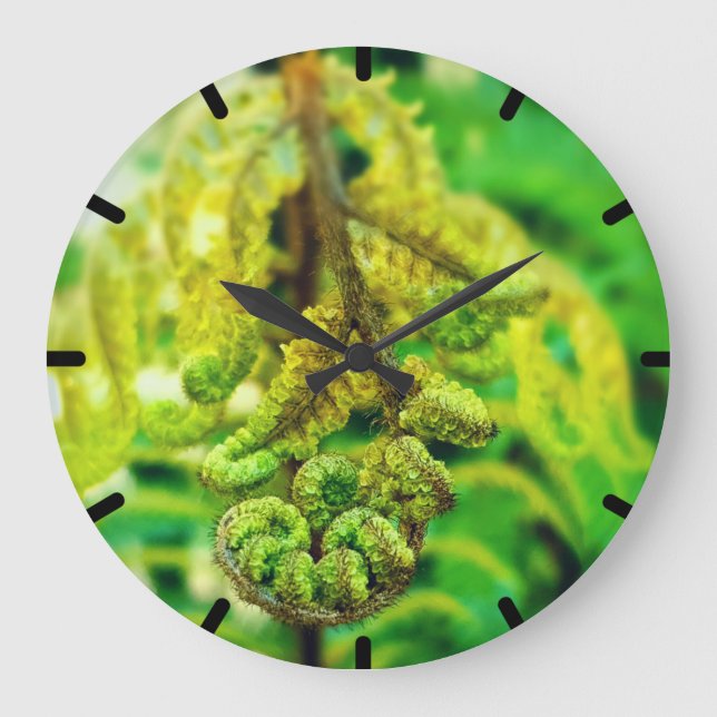 ELEGANT VIVID GREEN FERN PHOTO NEW ZEALAND KIWI LARGE CLOCK (Front)
