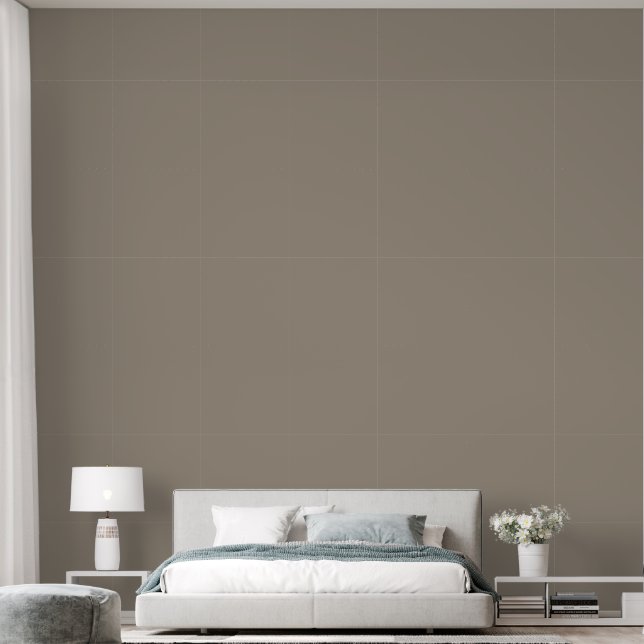 Elegant Warm Grey Plain Solid Colour Bedroom Wallpaper (Bedroom)