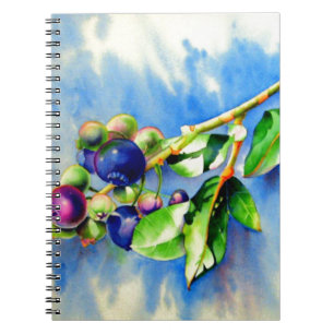 Elegant watercolor blueberry painting notebook