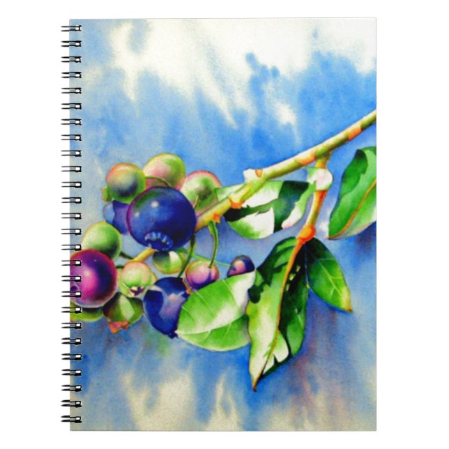 Elegant watercolor blueberry painting notebook (Front)