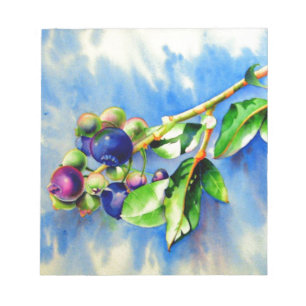 Elegant watercolor blueberry painting notepad