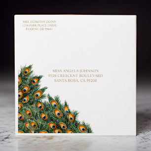 Elegant Watercolor Peacock Birthday Envelope