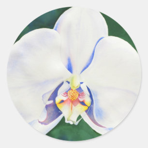 Elegant watercolor White Orchid Classic Round Sticker