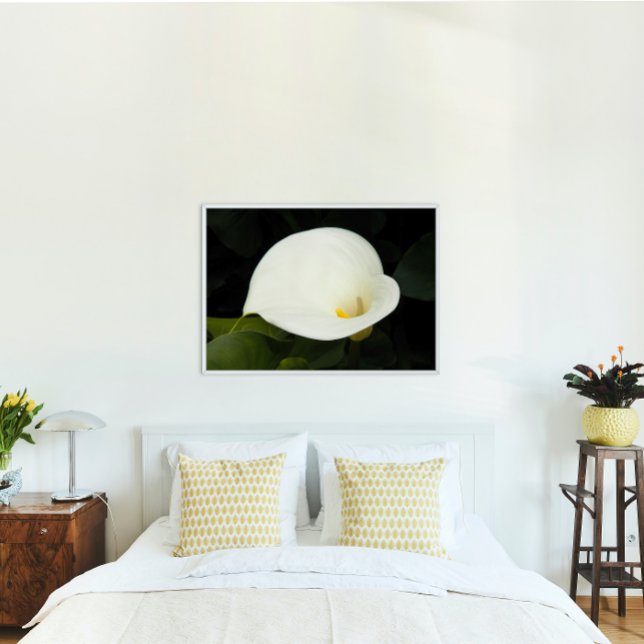 Elegant White Calla Lily Bloom Floral Poster (In Situ)