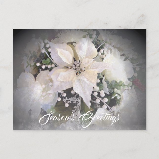 Elegant White Christmas Poinsettia Postcard (Front)