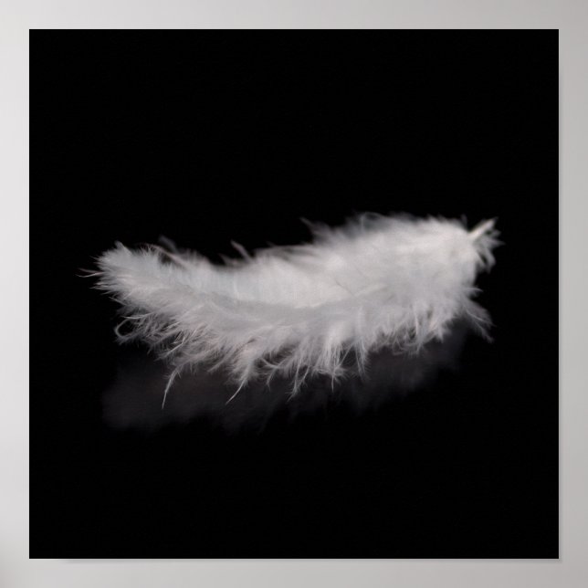 Elegant White Feather on a Black Background Poster (Front)