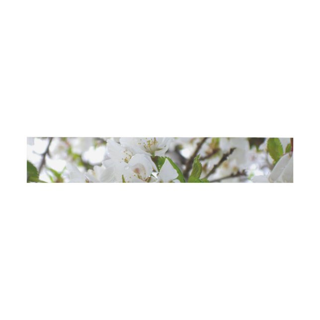 Elegant white floral blossom photo invitation belly band (Flat)