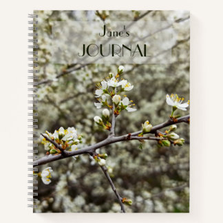 Elegant White Floral Spring Blossom Personalized Notebook