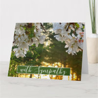 Elegant white floral tree buds sunrise 