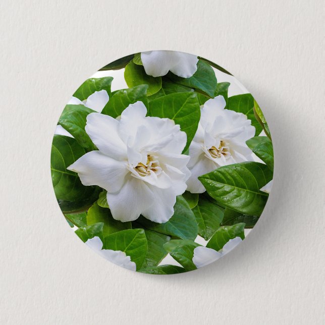 : "Elegant White Gardenia Flowers Button  (Front)