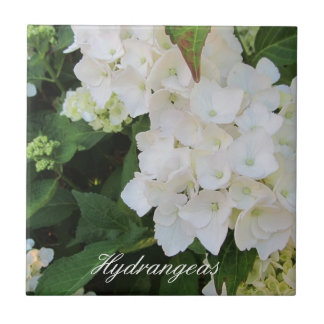 Elegant White Hydrangeas Tile