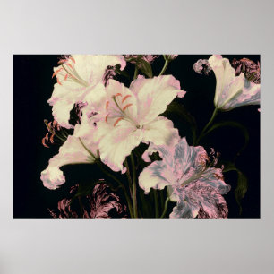 Elegant White Lilies on Black Background Floral Poster