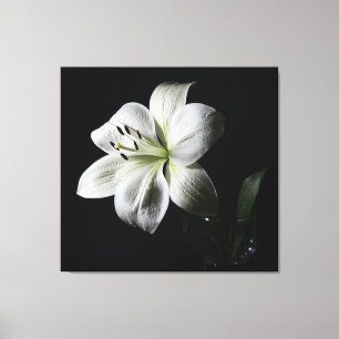 Elegant White Lily Wrapped Canvas Print
