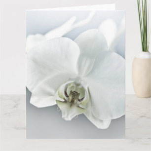 Elegant White Orchid Botanical Art Card