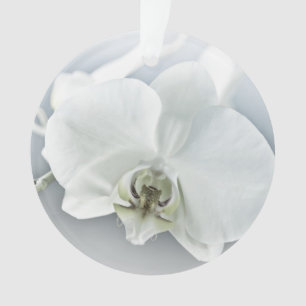 Elegant White Orchid Botanical Art Ornament
