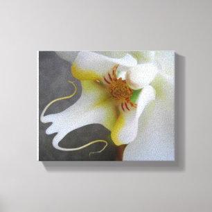 Elegant White Orchid – Fine Art Photo Canvas Print