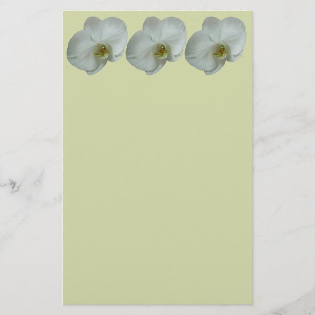 Elegant White Orchid Flower Botanical Stationery (Front)