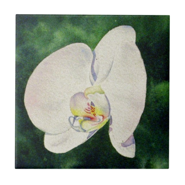 Elegant White Orchid watercolor painting Tile (Front)