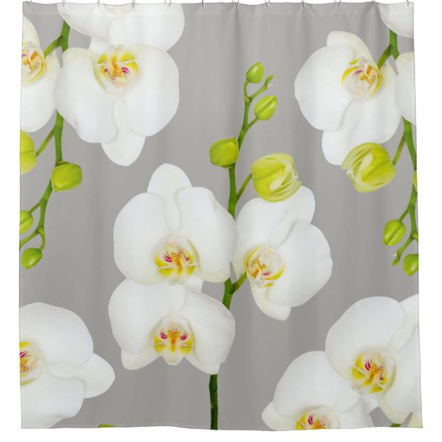 Elegant White Orchids & Light Grey (Front)