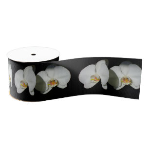 Elegant White Orchids, tropical floral photo Grosgrain Ribbon