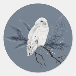 Elegant White Owl on Holly Limb Classic Round Sticker