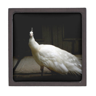 Elegant white peacock vintage nature bird photo gift box