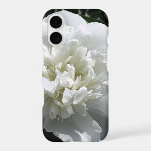 Elegant white peony floral white flower photo