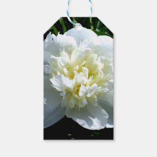Elegant white peony floral white flower photo gift tags