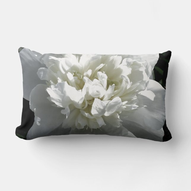 Elegant white peony floral white flower photo lumbar pillow (Front)