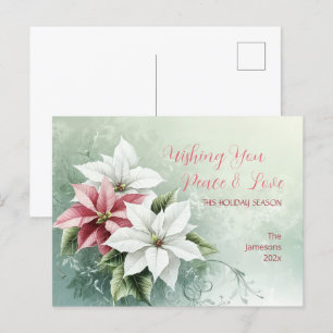 Elegant White Pink Christmas Poinsettias  Holiday Postcard
