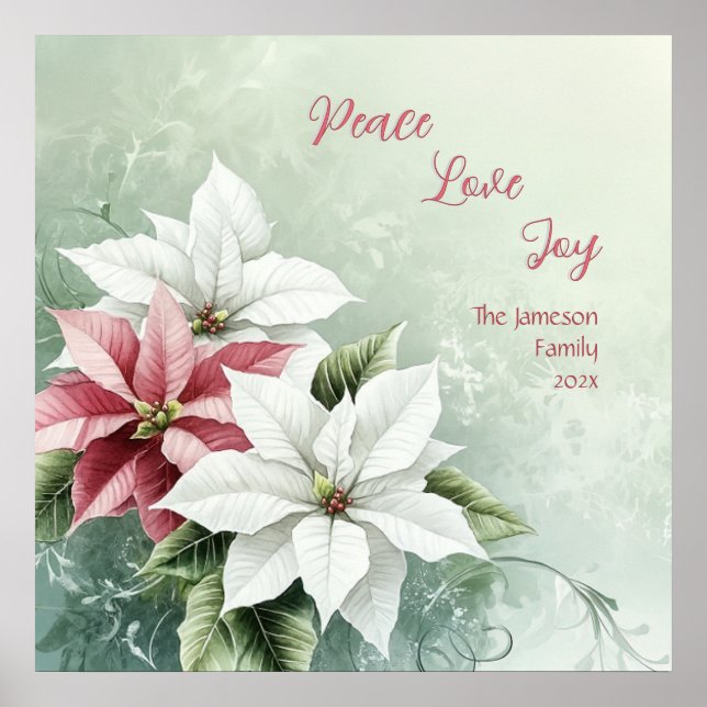Elegant White Pink Christmas Poinsettias  Poster (Front)
