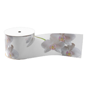 Elegant White Pink Orchids on Any Colour Grosgrain Ribbon