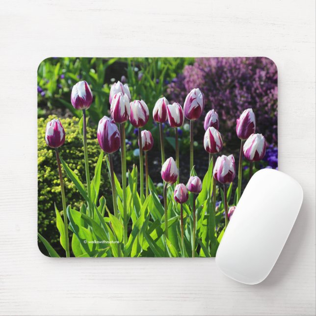 Elegant White Purple Flaming Flag Triumph Tulips Mouse Pad (With Mouse)