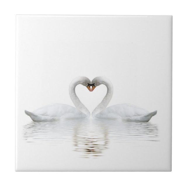 Elegant white swans in love tile (Front)