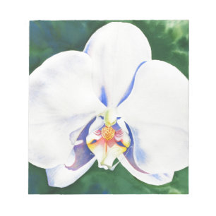 Elegant white watercolor orchid  notepad