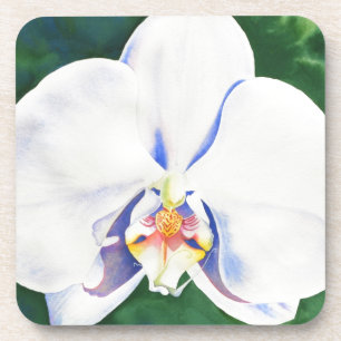 Elegant white watercolor orchid painting coaster