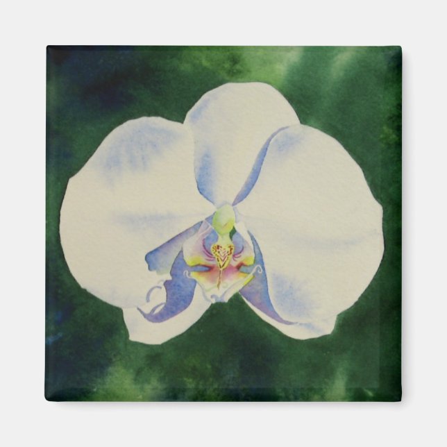 Elegant white watercolor orchid painting magnet (Front)