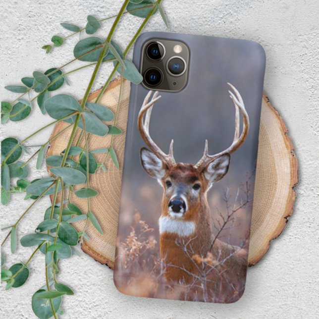 Elegant Whitetail Deer Winter Season Photograph iPhone Case (Creator Uploaded)