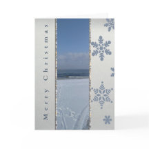 Elegant Winter Snowflakes