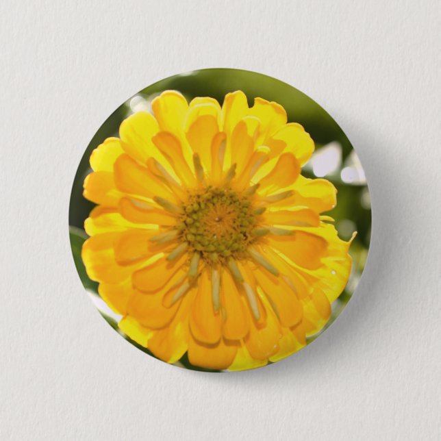 Elegant yellow floral flower daisy 2 inch round button (Front)