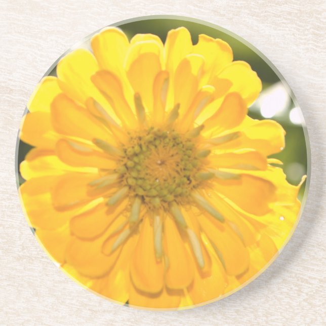 Elegant yellow floral flower daisy coaster (Front)