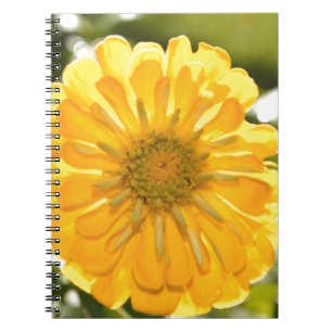 Elegant yellow floral flower daisy notebook