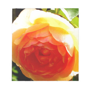 Elegant yellow peach red apricot floral rose notepad