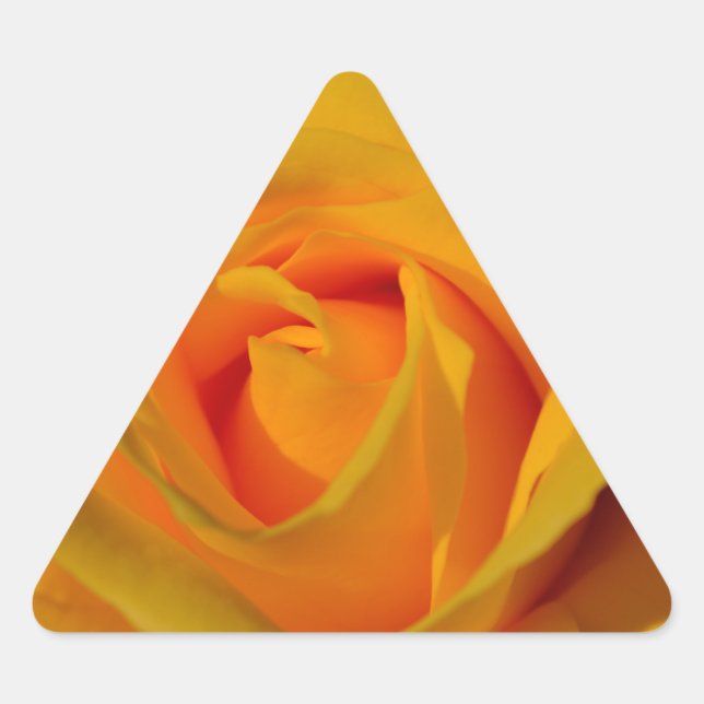Elegant Yellow Rose photo Triangle Sticker (Front)