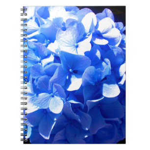 ElegantCobalt blue floral elegant hydrangeas Notebook